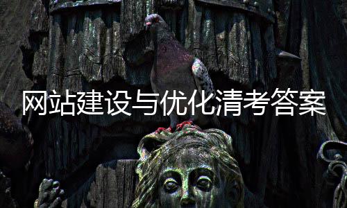 网站建设与优化清考答案_(网站建设服务商城网站优化)