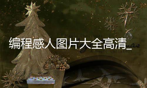 编程感人图片大全高清_(编程图片高清 图片素材)