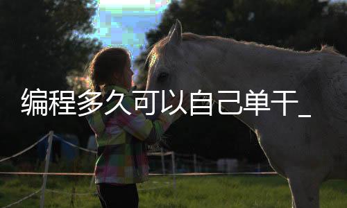 编程多久可以自己单干_(学编程多久可以自己写程序)