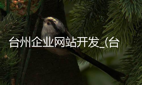 台州企业网站开发_(台州企业网站开发公司)