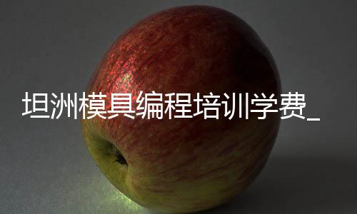 坦洲模具编程培训学费_(模具编程培训班学费需要多少钱)