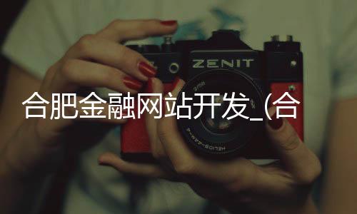 合肥金融网站开发_(合肥金融网站开发招聘)