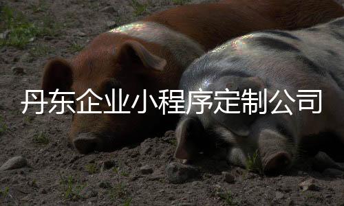 丹东企业小程序定制公司（丹东文旅小程序）