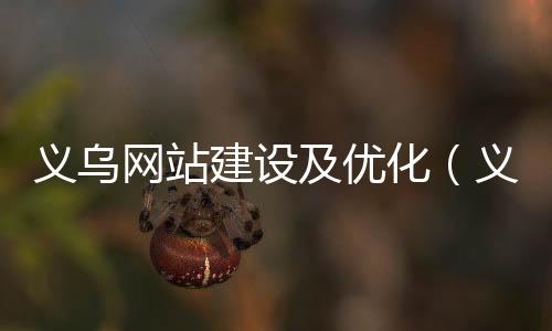 义乌网站建设及优化（义乌网页设计）
