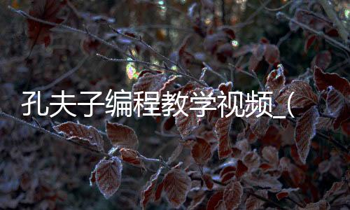 孔夫子编程教学视频_(孔夫子教下一句是什么)