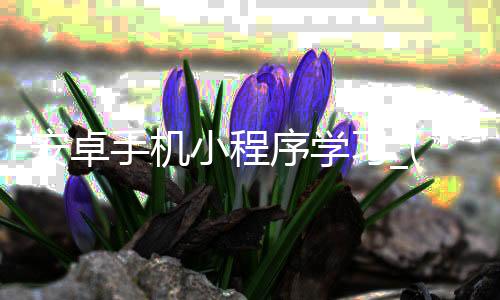 安卓手机小程序学习_(安卓小程序用什么语言)