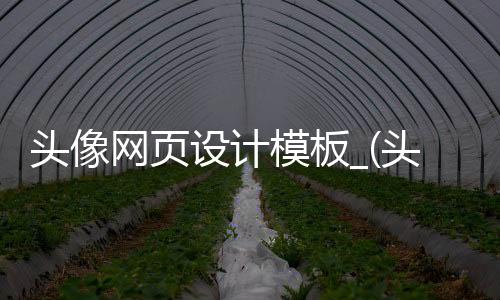 头像网页设计模板_(头像网页设计模板图片)