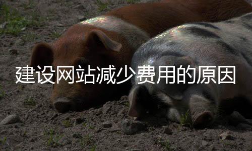 建设网站减少费用的原因_(建设网站减少费用的原因是什么)