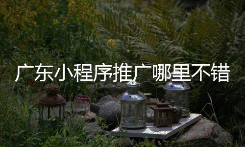 广东小程序推广哪里不错_(广东小程序开发公司哪里强)