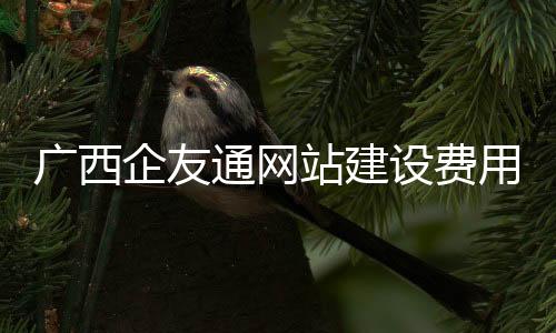广西企友通网站建设费用_(广西企友通网站建设费用高吗)