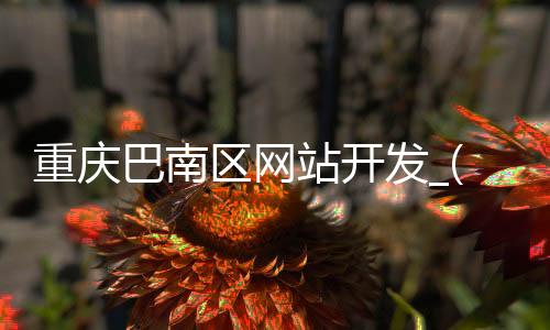 重庆巴南区网站开发_(重庆巴南区网站开发公司)