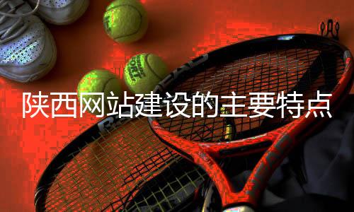 陕西网站建设的主要特点（陕西企业网站建设）